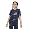 Chelsea FC Childrens/Kids Graphic Print Football Shirt
