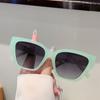 Cat Eye Sunglasses Women Fashion Vintage Candy Color Rim Decor Shades Trendy Outdoor Brand Design Gradient Sun Glasses