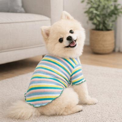 Bekleidung & Schuhe – Hundehoodies