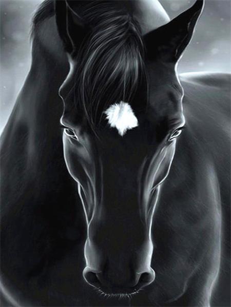 Diamond Art Painting Horse Full Round Embroidery Mosaic Animal Handmade Home Decor