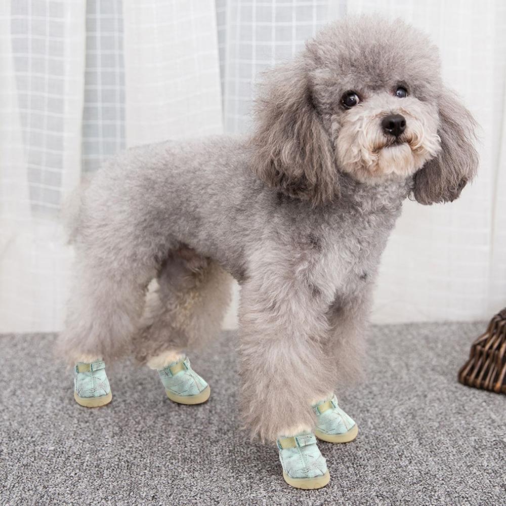water dog shoes