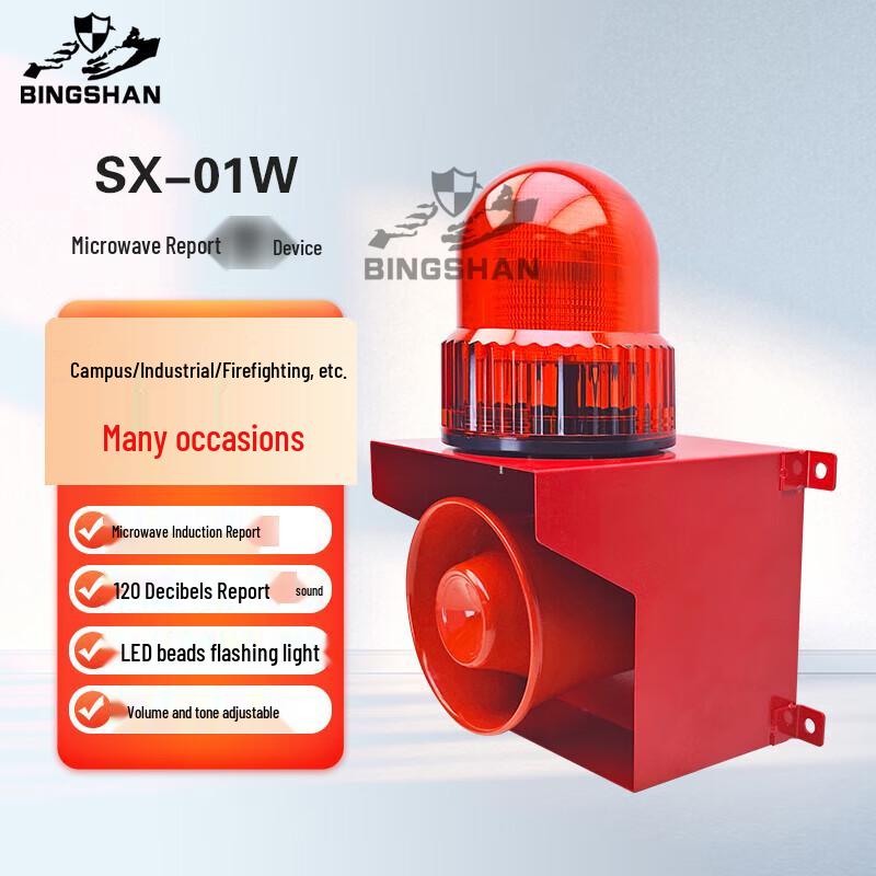 Bingshan SX-01W Microwave Induction Alarm
