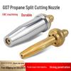 Oxygen-Acetylene Propane Cutting Nozzle Stainless Steel G07-30 100/300