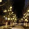 Outdoor Tree Hanging Scenic Area Light String Decoration Colorful Vine Ball Light LED Festival Lighting Atmosphere Light