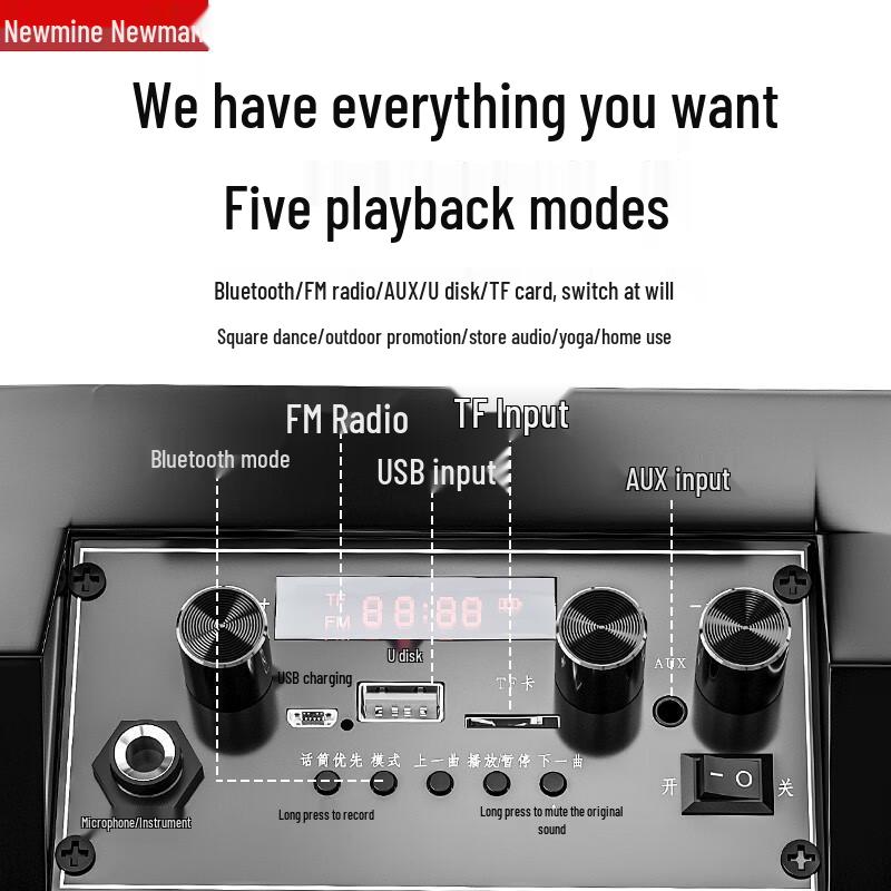 Newmine K98 Wireless Bluetooth Speaker with Microphones