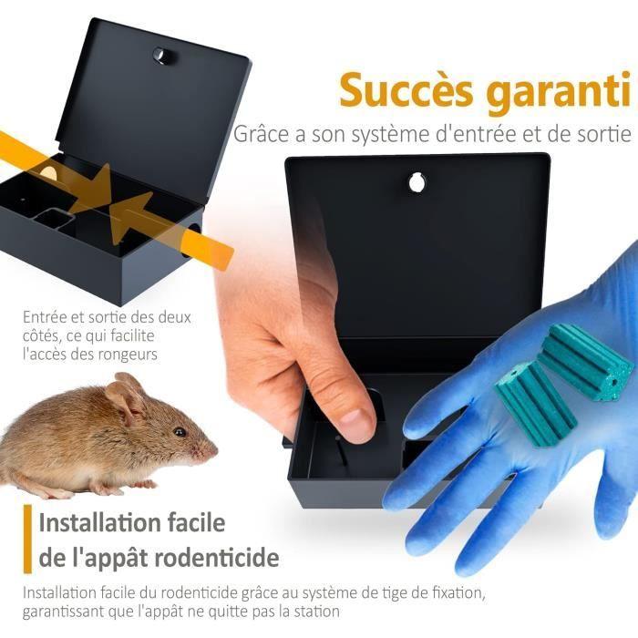 Miceco stationboîteporte-appâts souris avec clé pour petits rongeurs piège professionnel