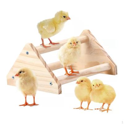 Percha para pollo,Accesorios para percha para pollitos en el patio trasero,Gimnasio para pollitos en la jungla,Juguete para soporte para pájaros,Madera para pollos