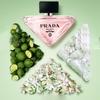 Prada I'm Unpredictable Flowerland Perfume 2026 Valentine's Day Limited Gift Box Floral Fragrance EDP 90ml