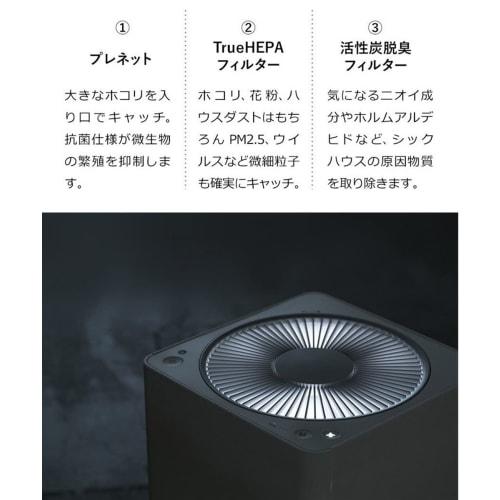 A01A-P100 Dust Collection/Deodorizing Filter A01A-WH A01A-P100 Air Purifier The Pure (BALMUDA The Pure) Filter A01A-S100&A01A-D100 Compatible Product