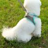 Cat vest chest with reflective breathable leash for small and medium-sized dogs walking leash pet products.
