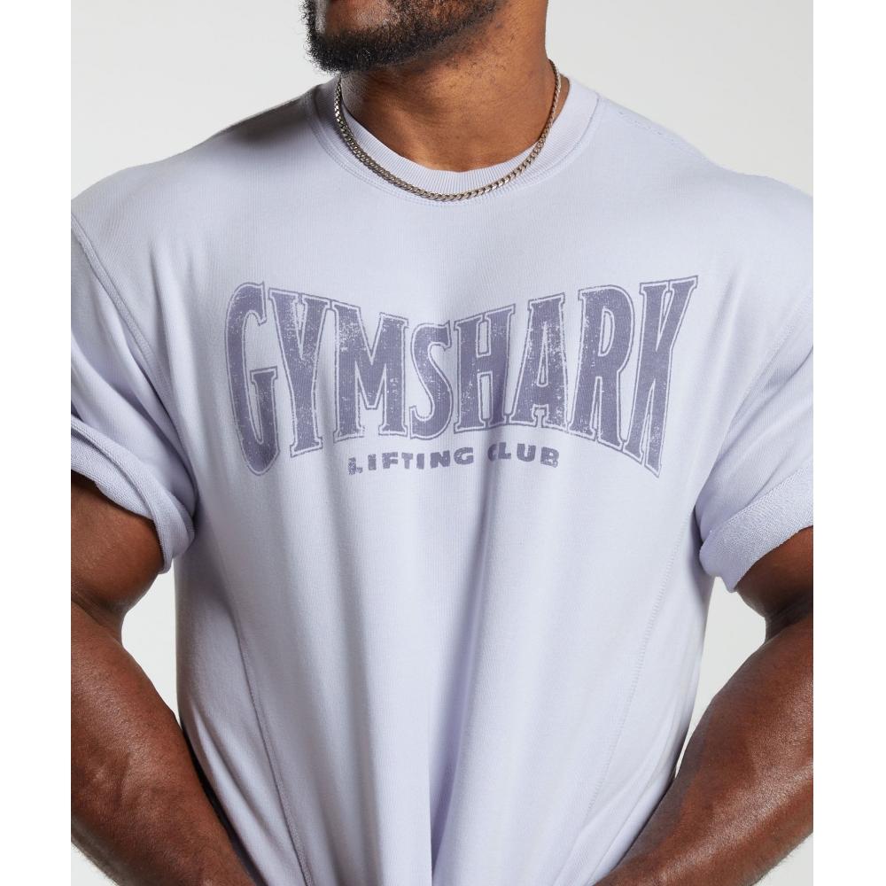 Gymshark Heritage Washed Short Sleeve Crew Silver Lilac A4a8d Pbyv
