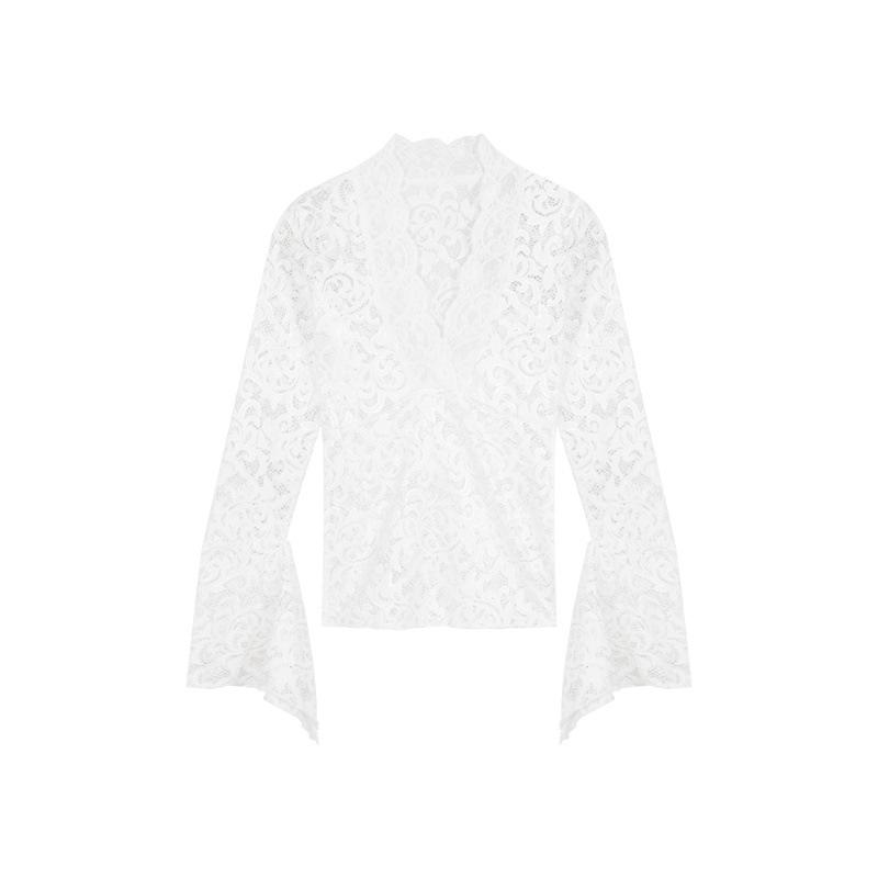 Women's Sexy Slimming Lace V-Neck Long Sleeve Top - Early Autumn Pure Desire Style