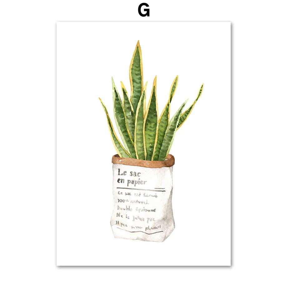 Cactus Tiger Pilan Monstera Green Plants Wall Art Canvas Painting Nordic Posters And Prints Wall Pictures For Living Room Decor