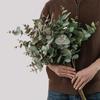 Decorațiuni pentru casă – Flori decorative şi coroane de flori