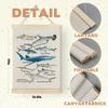Qvapt Sea Animals Shark Posters - Shark Faces Wall Art Print, Sea Life Poster, Educational Poster for Kid Room Classroom Decor, Posters 12x16 with
