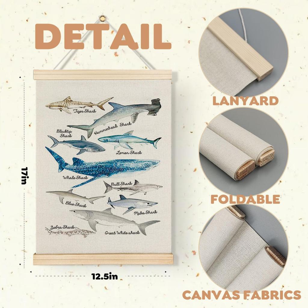 Qvapt Sea Animals Shark Posters - Shark Faces Wall Art Print, Sea Life Poster, Educational Poster for Kid Room Classroom Decor, Posters 12x16 with