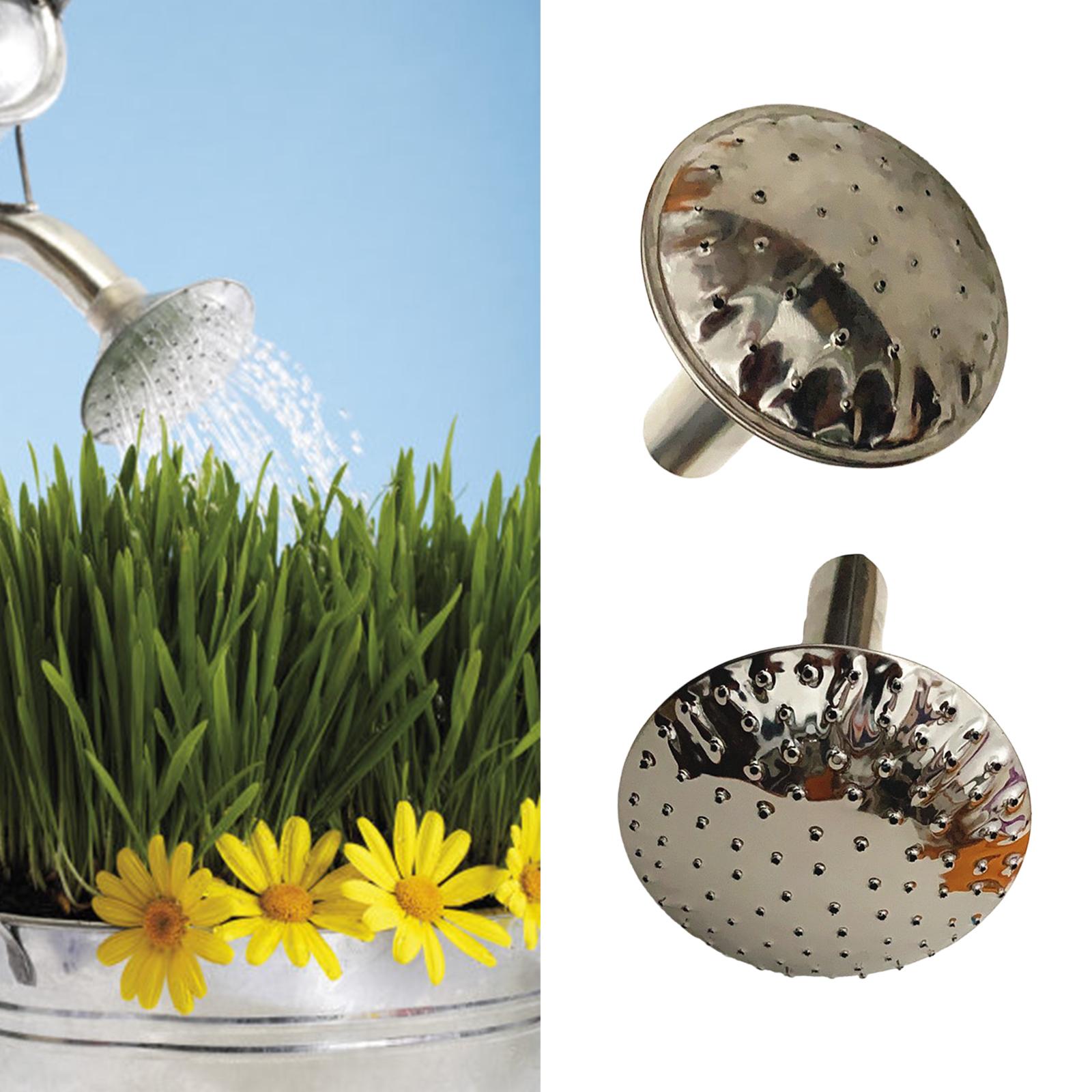 

Watering Can Rose Head Stainless Steel Fine Watering Can Head Sprinkler Spray Spout Rust Resistant Watering Can Nozzle B