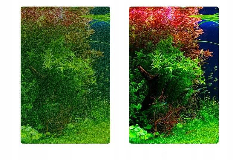 Aquarium Scraper Cleaner For Cleaning Aquarium Glass 62 Cm
