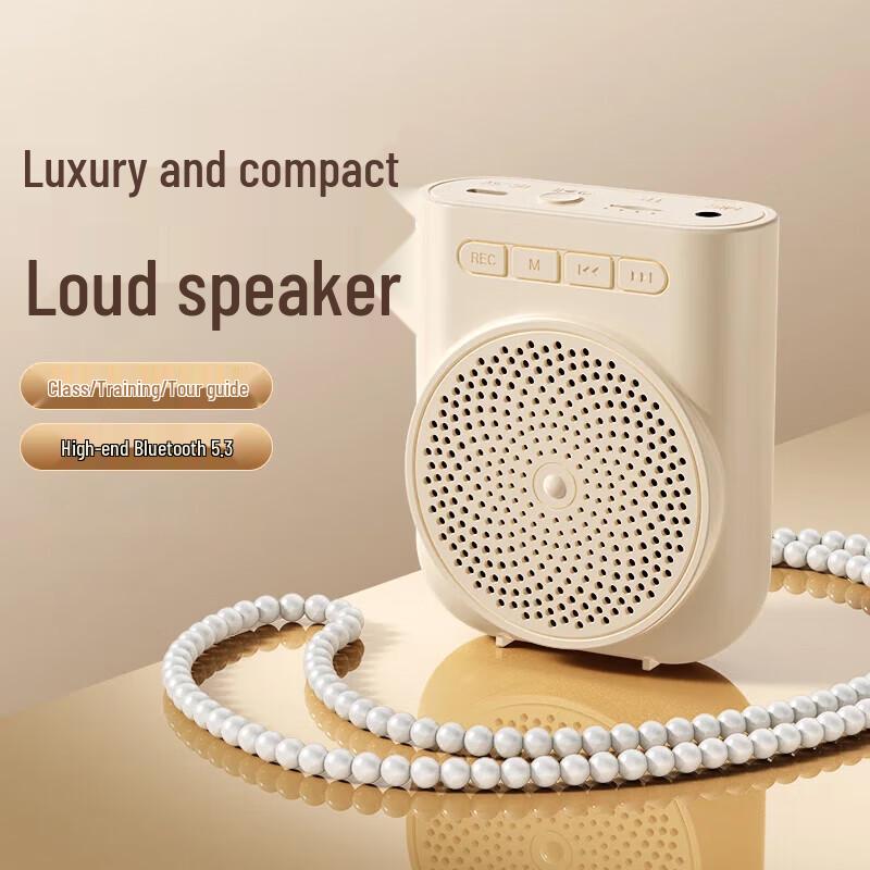 Little Bee Portable Bluetooth Voice Amplifier
