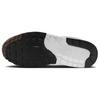 Nike Air Max 1 Barockbraun W DZ2628-004
