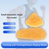 Fat Replica Fatty Tissue Model Human Body Fat Replica 1Lb Human Fatty Tissue Demonstration Model For Nutritionist Science Course