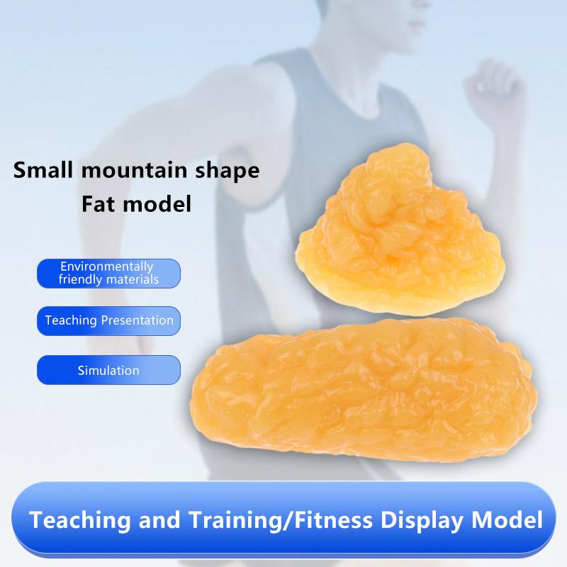 Fat Replica Fatty Tissue Model Human Body Fat Replica 1Lb Human Fatty Tissue Demonstration Model For Nutritionist Science Course