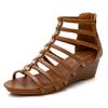 Fashion Women's Bohemia Fish Mouth Wedge Sandals Platform Gladiator Shoes with Zipper Summer PU Jelly Shoes for Women Flat Sandals
