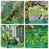 Bird Netting Protect Vegetable Plants and Fruit Trees,Plastic Trellis Netting for Birds, Deer,Squirrels and Other Animals