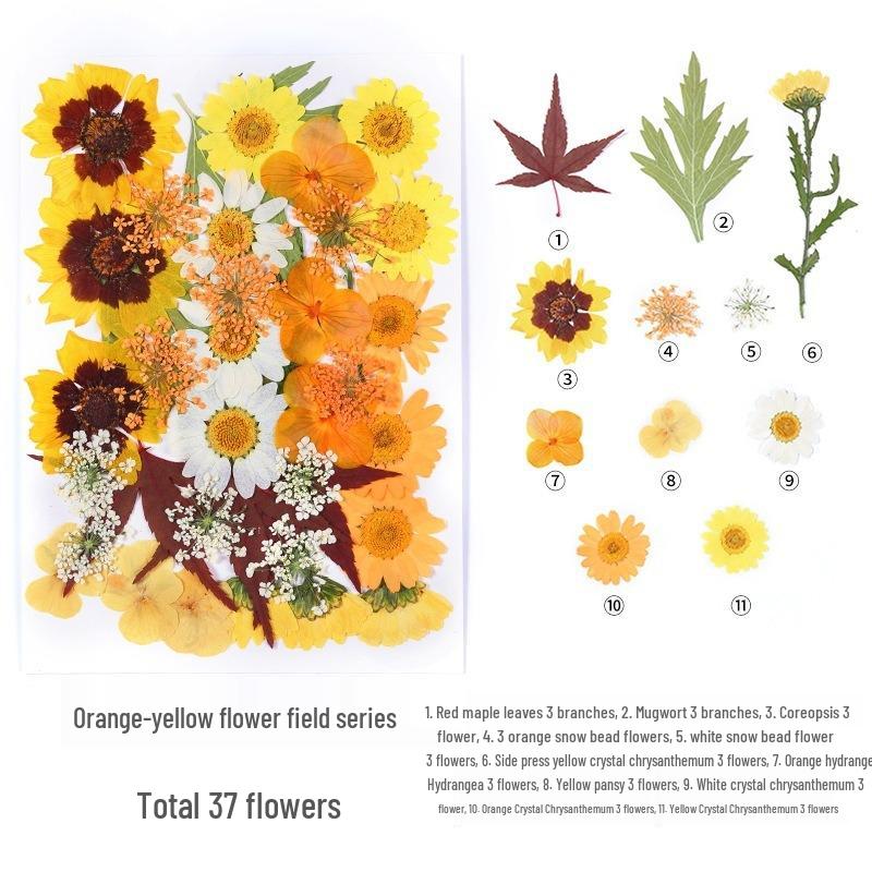 DIY Handmade Dried Flower Embossed Wall Clock with Wood Grain Border