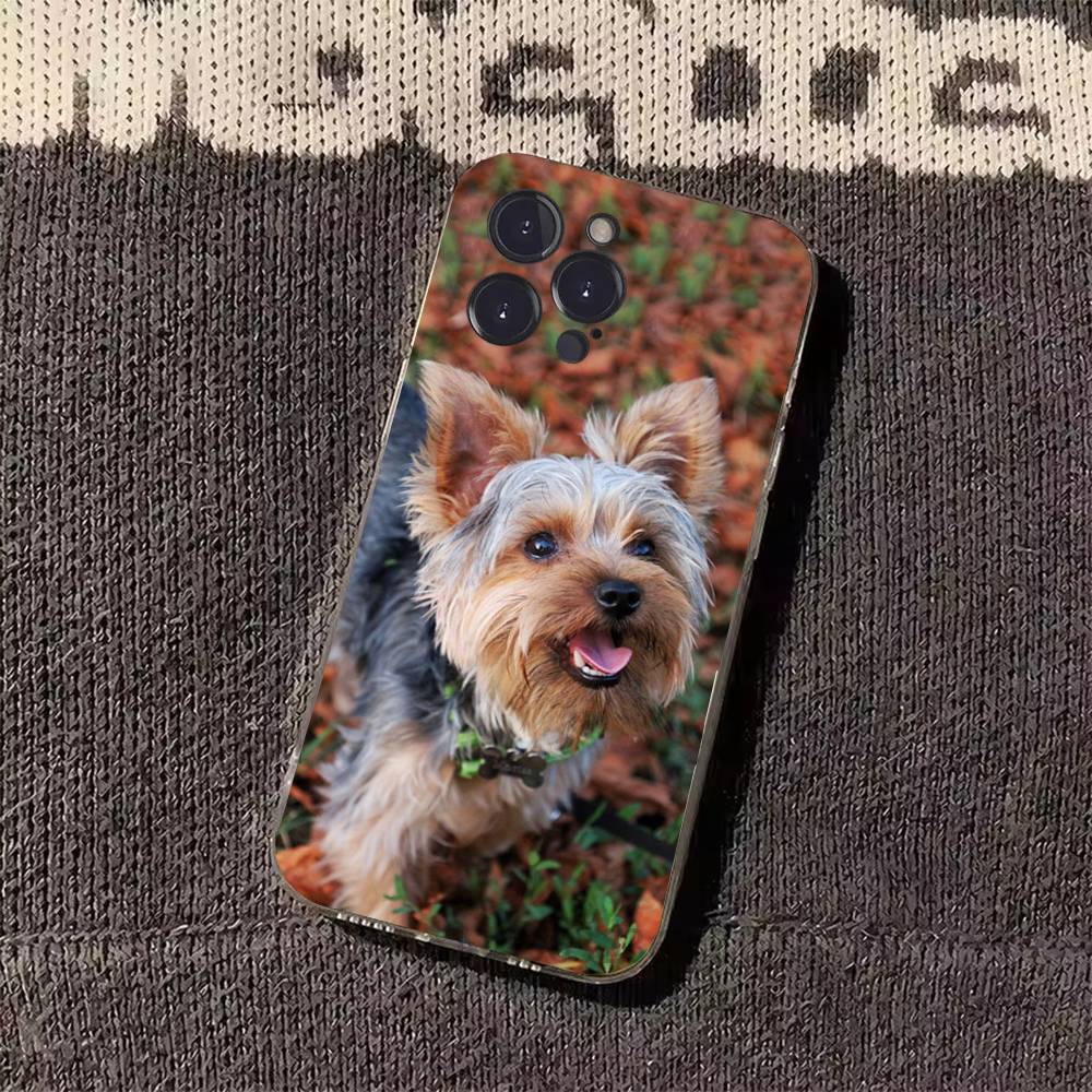 

Yorkshire terrier dog Phone Case for iPhone 11Pro 13 12 11 Pro Max 16e 17 Air 16 15 14 Plus 11ProMax iPhone13PRO