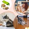 Cat Toys With Catnip 3 Pieces Kitten Teething Toys Kitten Chew Toys Innovative Catnip Chew Toys Plush Cat Toy For Home Pet Shops
