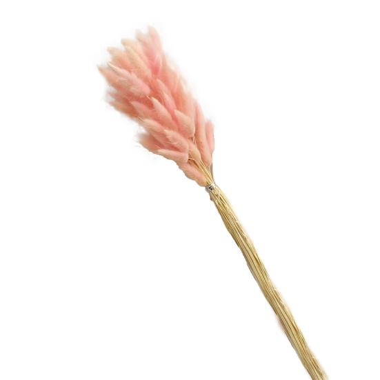 1 Set Dried Flower Bouquet Romantic Easter Celebration Bunny Tail Household Products