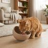 Suction Cups Silicone Pet Bowl Neck Protection Elevated Feeder Portable Dog Food Bowl  Pet Dining