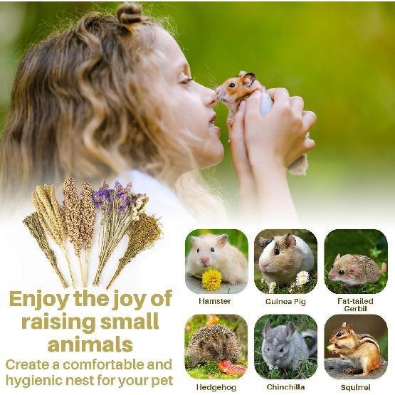 Sukh Natural Hamster Bedding Sprays - Foraging Habitat Decor Cage Accessories, Hideout Enrichment for Dwarf & Syrian Hamsters, Gerbils, Mice and