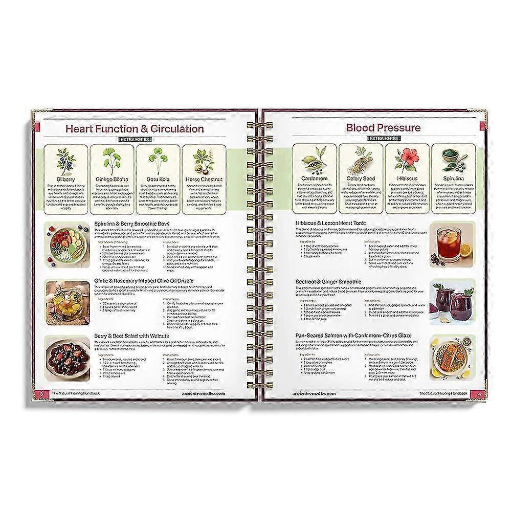 The Natural Healing Handbook - Herbal Remedies & Ancient Recipes Guide-lhh_qlsg