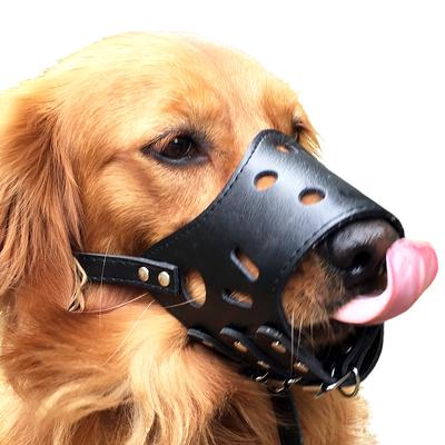Namlu Anti Bark Isırık Çiğneme Köpek Eğitim Ürünleri Küçük Orta Büyük Köpekler İçin Açık Havada Evcil Hayvan Ürünleri