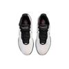 Nike Lebron 21 "Conchiolin" HF5841-100