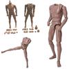 Scale 16 Male Nude Body Muscular Mans Action Figure For Tc Dragon Soldier Toy