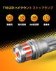 OXILAM T10 LED, Red, License Plate Light, High Brightness, Explosive Light, Built-in CANBUS Canceler,
