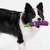 Lustige Karotte Bittermelone Haustierspielzeug Realistisches Obst Gemüse Hundekauspielzeug Quietschendes Latex Zahneinlage Spielzeug für Welpen für Kleine