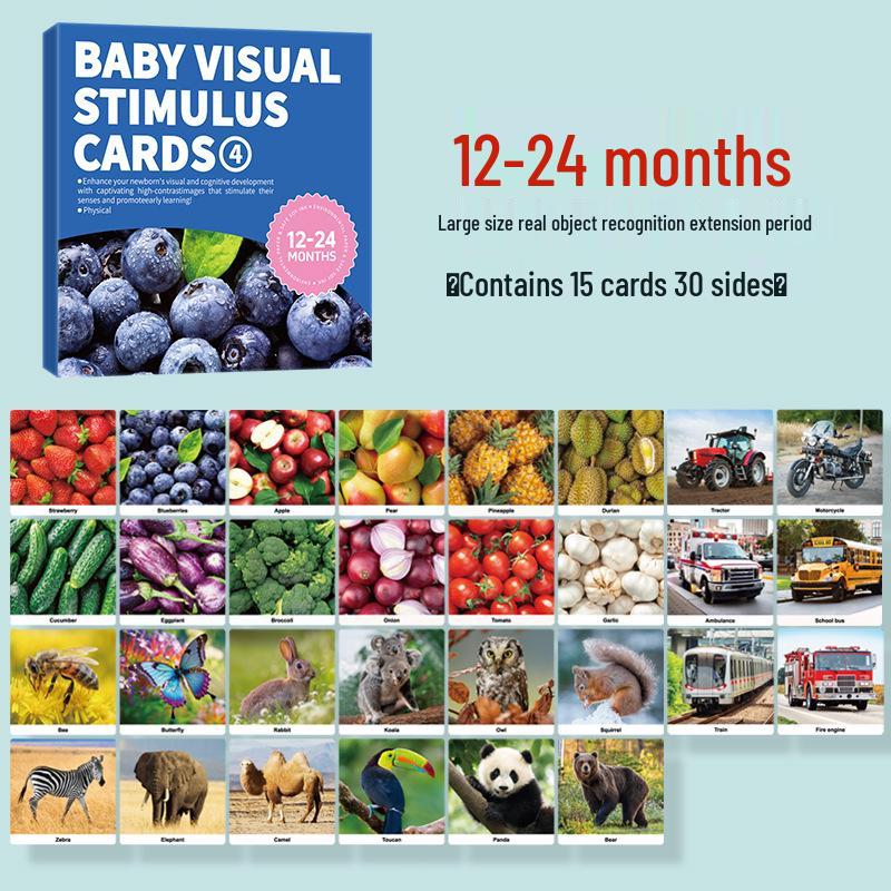 Early Education Visual Stim Cards: Newborn to 3-Year-Olds, Black-White & Color
