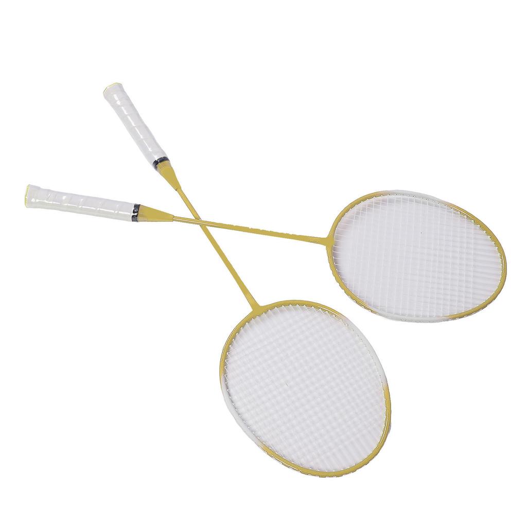 2 Player Badminton Set Low Vibration Strong Elasticity Iron Alloy Badminton Rackets Set with 3 Nylon Shuttlecocks Carry