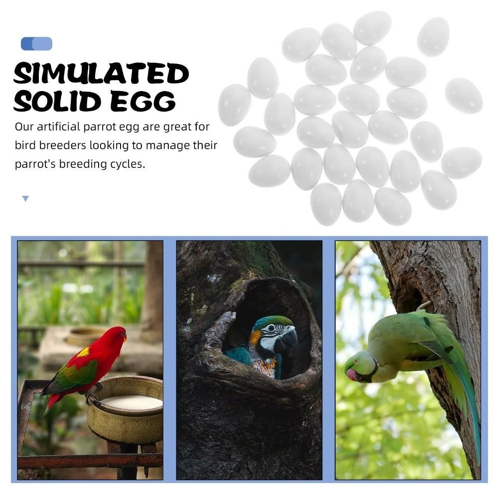 10pcs Realistic Dummy Eggs Multi-size Parrot Eggs Model Simulation Bird Eggs  For Budgie Cockatiel