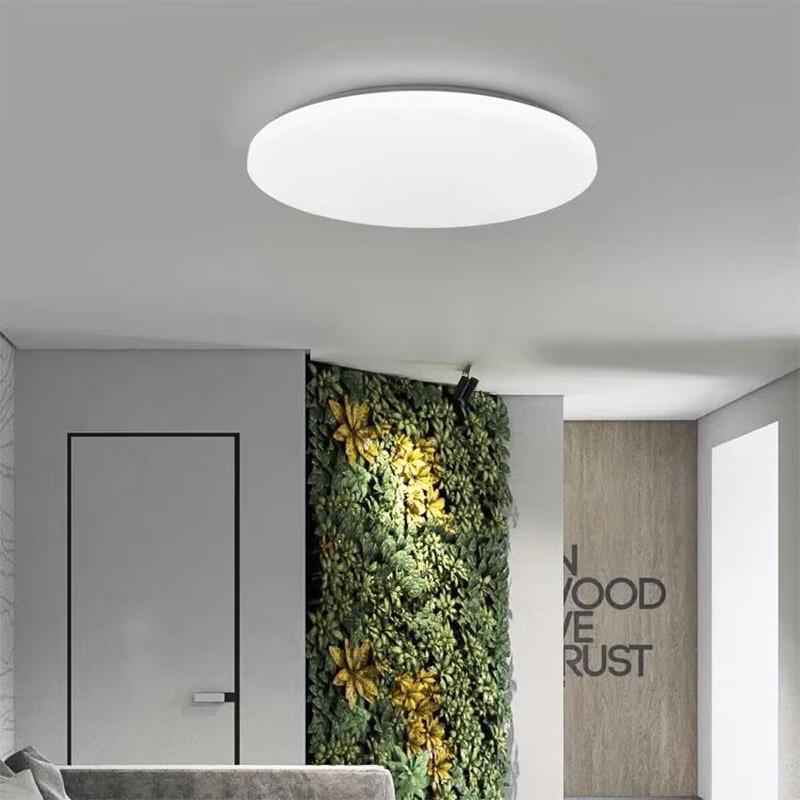 Runhong 15W Ceiling Lamp