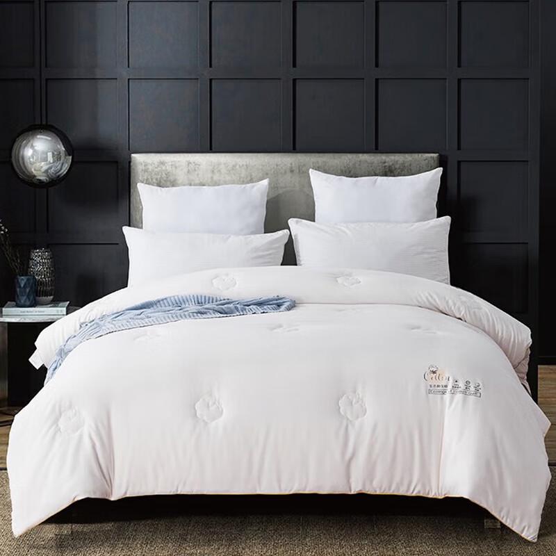 

Faunen Eco-Warm Velvet All-Season Quilt