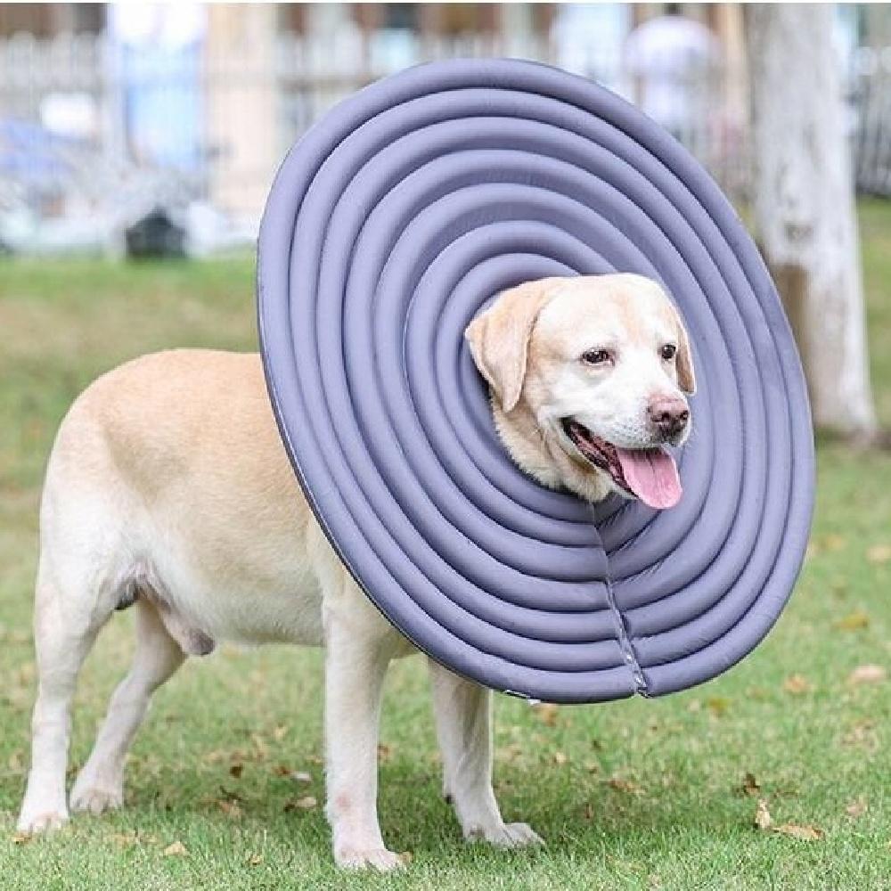 Pet Wound Protection Collar – Soft Elizabeth Collar For Dogs & Cats, Adjustable Recovery Cone For Preventing Licking (XS/S/M, 7 Colors)
