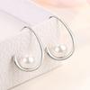 Lindon Copper Alloy Zircon Earrings Drop Earrings For Women Wedding Party Gifts