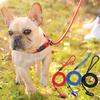 Slip Lead Dog Leash for Puppy Pet Small Dogs Training and Walking Nylon Rope Leash Anti-Choking P-sharped Dog Slip Chains Collar