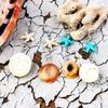 Starfish Dangle Earrings with Conch for Sensitive Ears Handmade Sea Inspired Ear Accessories Earwear for Trendy Women