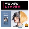 Beautyne Makeup Hair Blue Silver Color, (x 1)